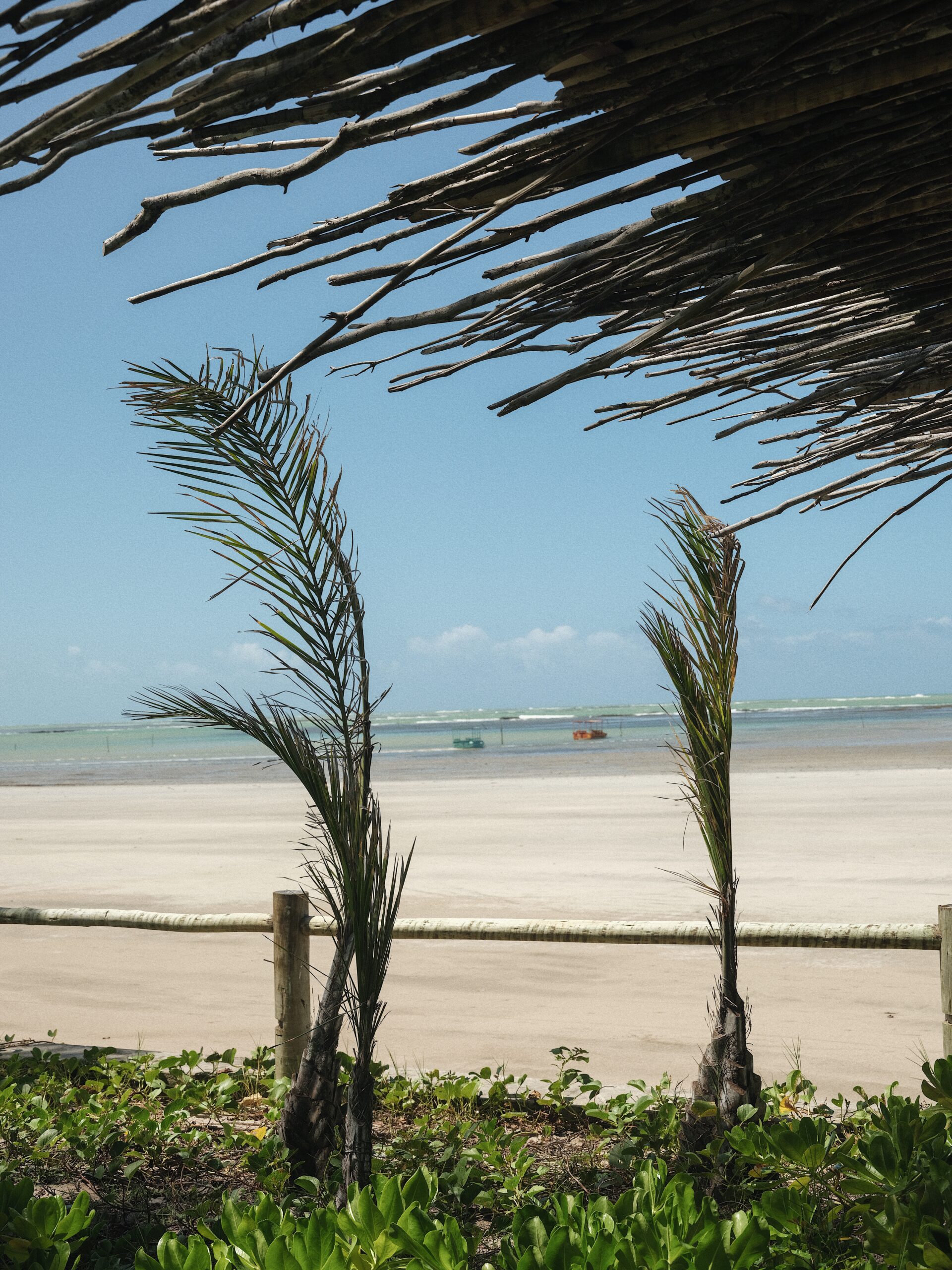 Processed with VSCO with a6pro preset